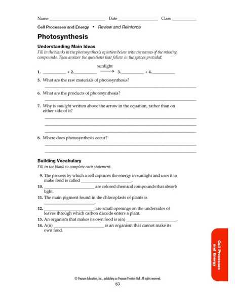 Photosynthesis Worksheet Answer Key together with Synthesis Worksheet Answer Key Kidz Activities