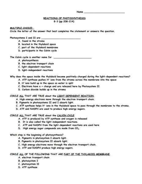 Photosynthesis Worksheet Answer Key with 52 Best Biology Images On Pinterest