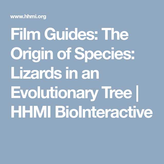 Phylogenetic Tree Worksheet Also Guides the origin Of Species Lizards In An Evolutionary Tree