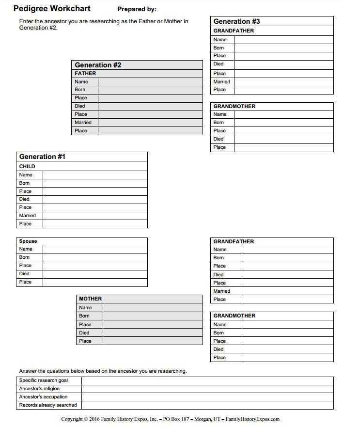 Phylogenetic Tree Worksheet together with 807 Best Family Tree Charts & forms Images On Pinterest