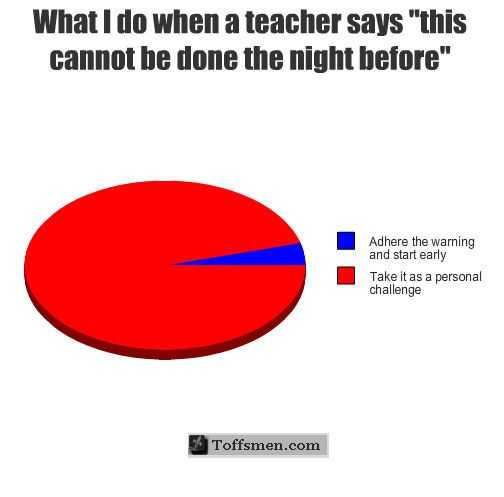 Pie Graph Worksheets High School as Well as 53 Best Pie Charts Images On Pinterest