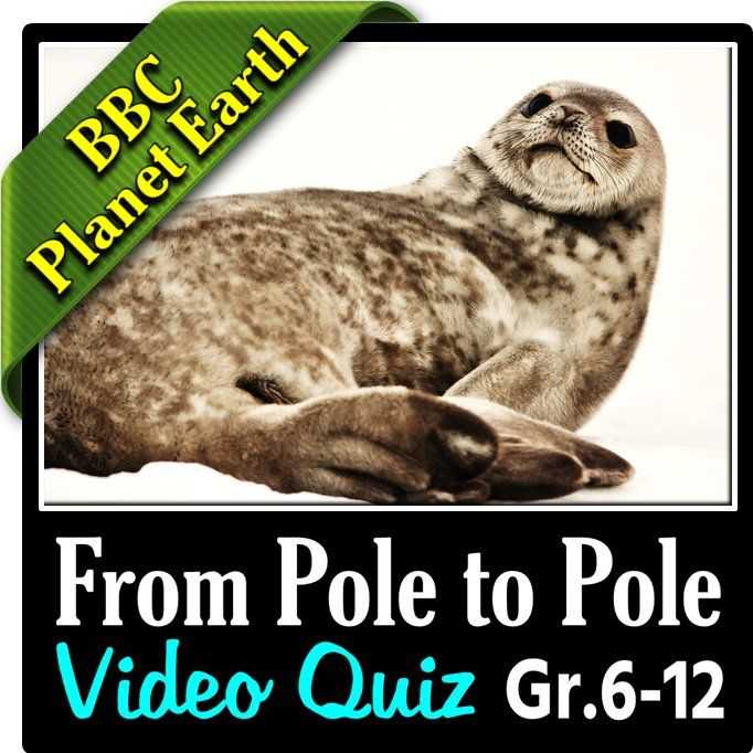 Planet Earth Pole to Pole Worksheet together with Planet Earth From Pole to Pole Video Quiz Editable