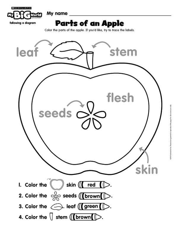 Plant Worksheets for Kindergarten Along with 183 Best Teaching Ad Images On Pinterest