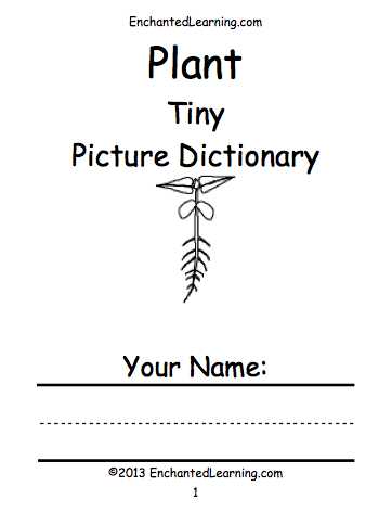 Plant Worksheets for Kindergarten and Plant Crafts Enchantedlearning