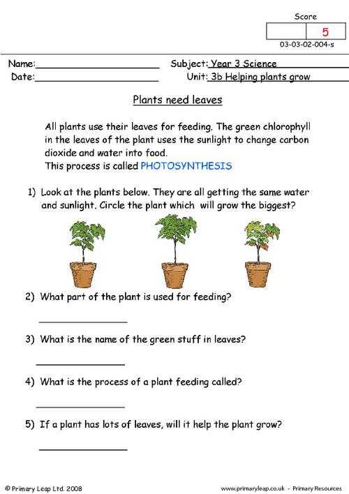 Plant Worksheets for Kindergarten or Types Leaves Worksheets Worksheets for All