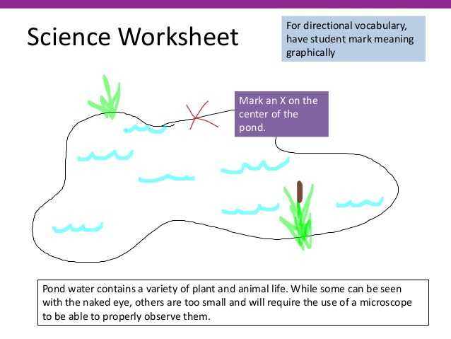 Pond Water Microscope Lab Worksheet as Well as Teaching Students with Literacy Problems—including Dyslexia