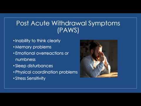 Post Acute withdrawal Syndrome Worksheet or Post Acute withdrawal Syndrome Paws