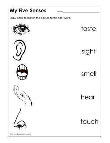 Postalease Fehb Worksheet Also Five Senses Worksheets for Preschool the Best Worksheets Image