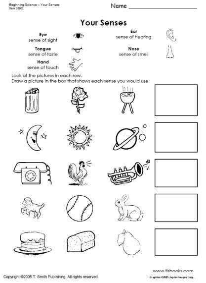 Postalease Fehb Worksheet or Five Senses Worksheets for Preschool the Best Worksheets Image