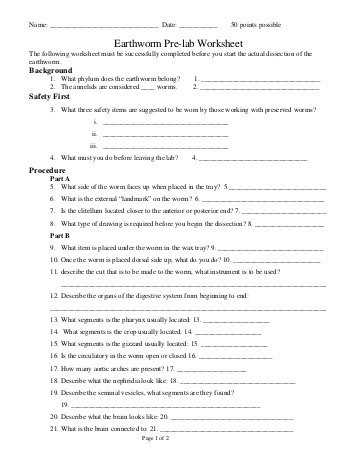 Pre Lab Activity Worksheet Answers as Well as Sheep Brain Dissection Mr E Science