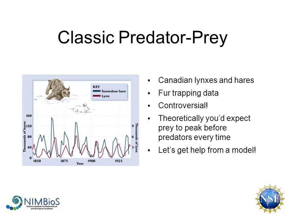 Predator Prey Relationship Worksheet Answers Along with Biology Meets Math Us Department Of Homeland Security Predator Prey