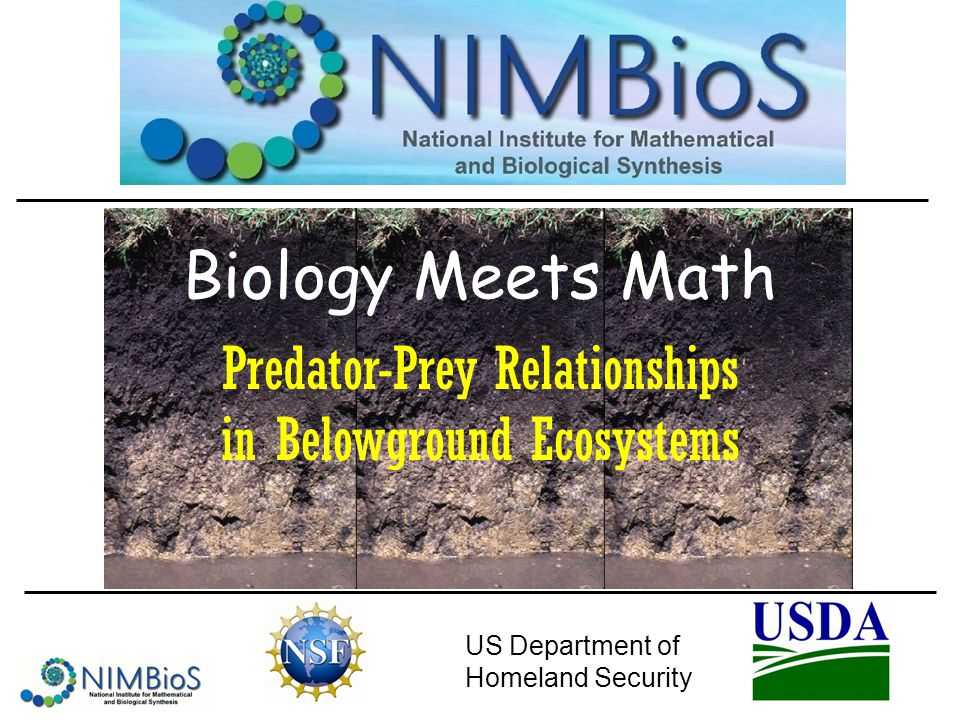 Predator Prey Relationship Worksheet Answers Also Biology Meets Math Us Department Of Homeland Security Predator Prey