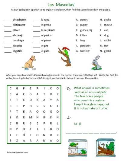 Printable Spanish Worksheets together with 12 Best Spanish Images On Pinterest