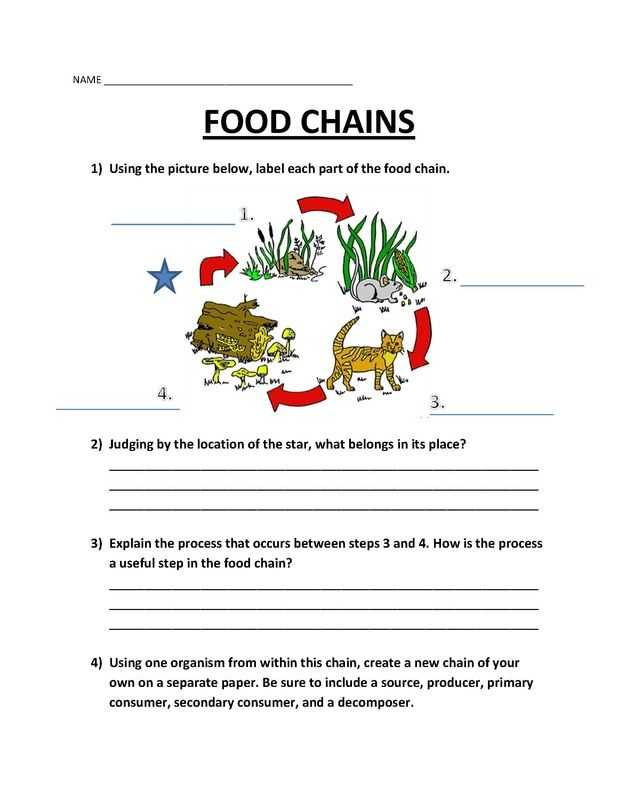 Producer Consumer Decomposer Worksheet as Well as Picture Worksheets Pinterest