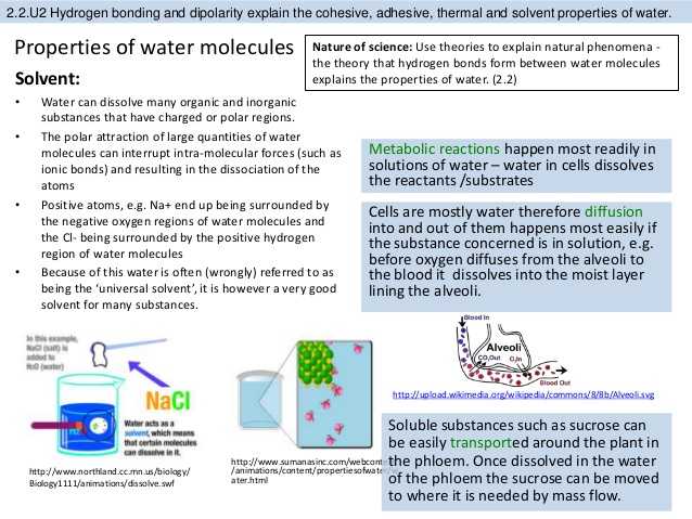 Properties Of Water Worksheet Pdf Also Bioknowledgy 2 2 Water