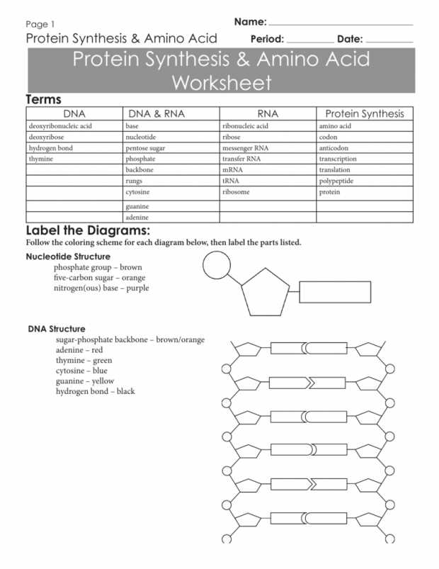 Protein Synthesis and Amino Acid Worksheet Answer Key as Well as Unique Transcription and Translation Worksheet Answers New Rna and