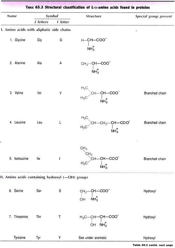 Protein Synthesis and Amino Acid Worksheet Answer Key with 18 New Pics Protein Synthesis and Amino Acid Worksheet