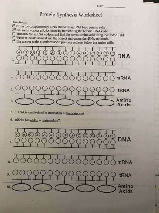 Protein Synthesis Review Worksheet Answers Along with Unique Transcription and Translation Worksheet Answers New Rna and