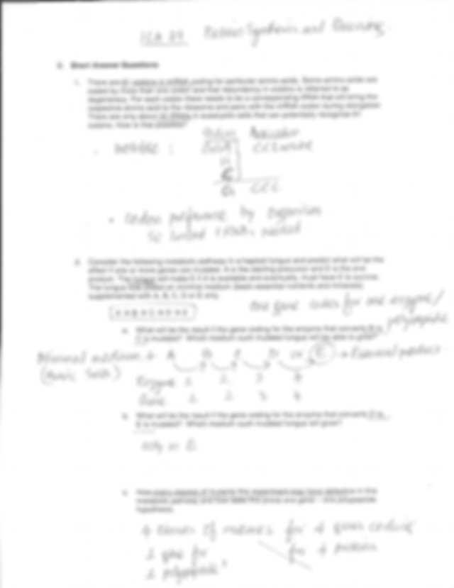 Protein Synthesis Review Worksheet Answers as Well as New Protein Synthesis Worksheet Answers Awesome Worksheet Dna Rna
