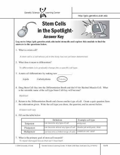 Protein Synthesis Webquest Worksheet Answer Key Also H