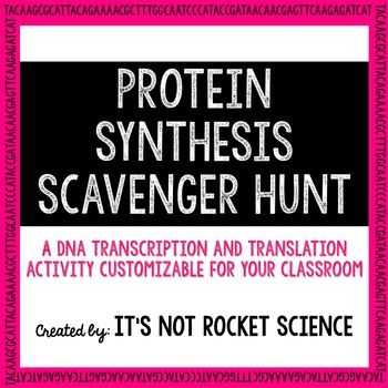 Protein Synthesis Worksheet and Protein Synthesis Scavenger Hunt Activity
