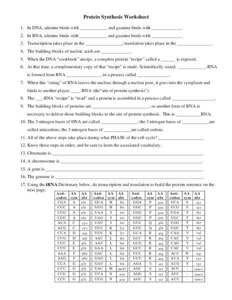 Protein Synthesis Worksheet Answers or Fresh Protein Synthesis Worksheet Answers Lovely Admission Essay