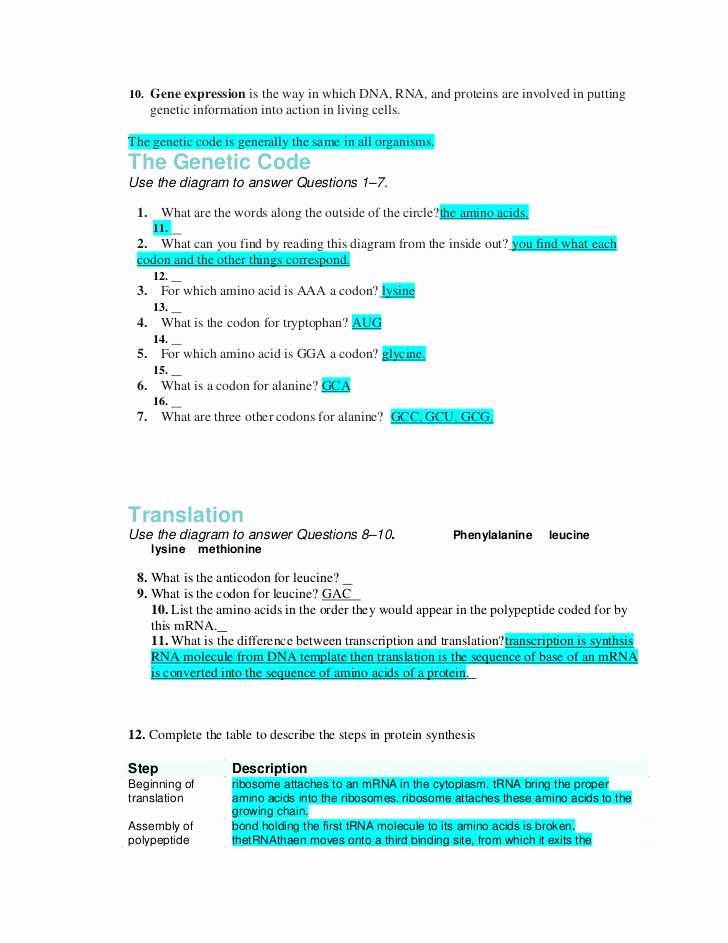 Protein Synthesis Worksheet Answers together with Protein Synthesis Video