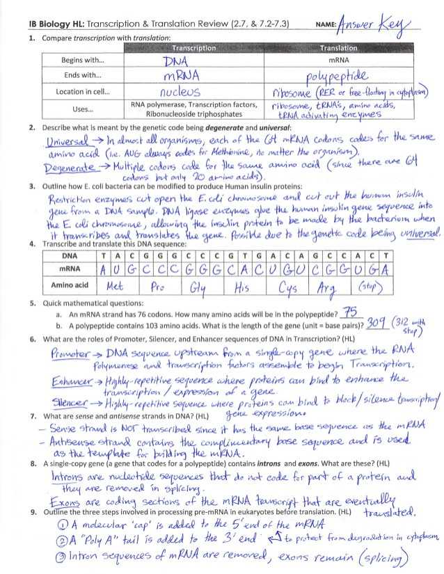 Protein Synthesis Worksheet Key or Transcription and Translation Worksheet Answers