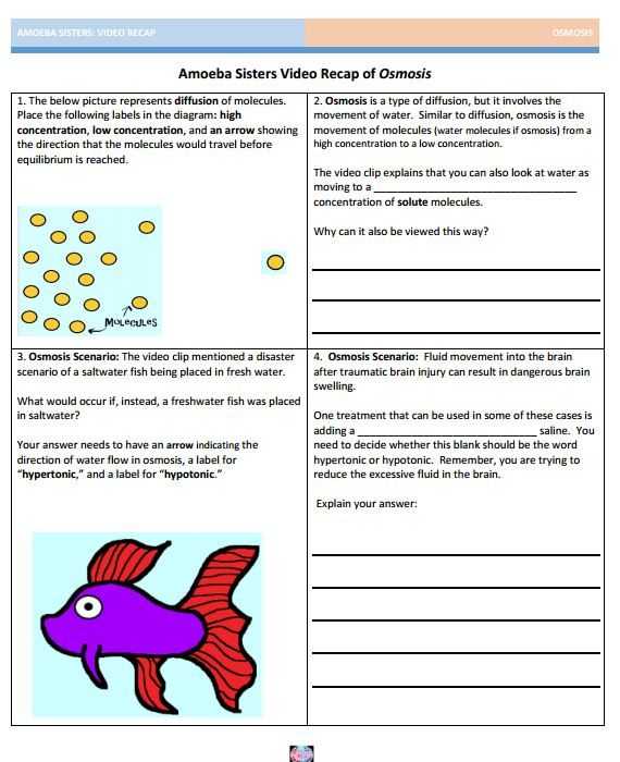 Protein Synthesis Worksheet Pdf Also 27 Best Amoeba Sisters Handouts Images On Pinterest