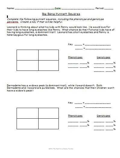 Punnett Square Practice Problems Worksheet Along with Big Bang theory Genetics Punnett Squares
