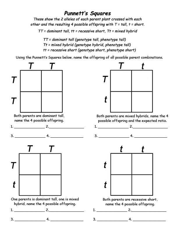 Punnett Square Practice Problems Worksheet and Worksheets 45 Lovely Punnett Square Worksheet High Definition