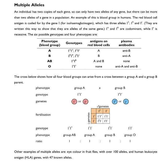 Punnett Square Practice Problems Worksheet or Punnett Square Worksheet 1 Answer Key Inspirational Multiple Alleles