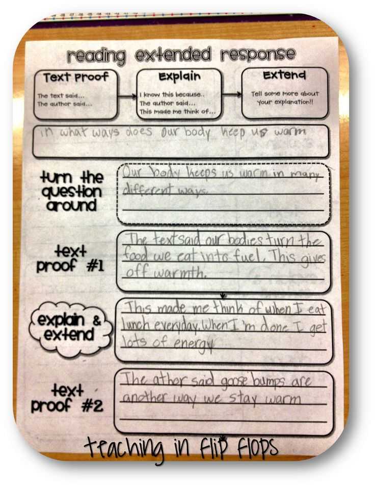 Race Writing Strategy Worksheet and 198 Best Test Prep Fun Images On Pinterest