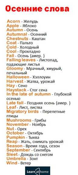 Russian for Beginners Worksheets together with 196 Best Russian Images On Pinterest