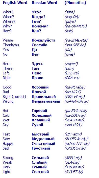 Russian for Beginners Worksheets together with Learn some Of the Mon Russian Words Russian