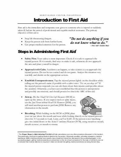 Scholarship Merit Badge Worksheet as Well as First Aid Merit Badge Center Philippines