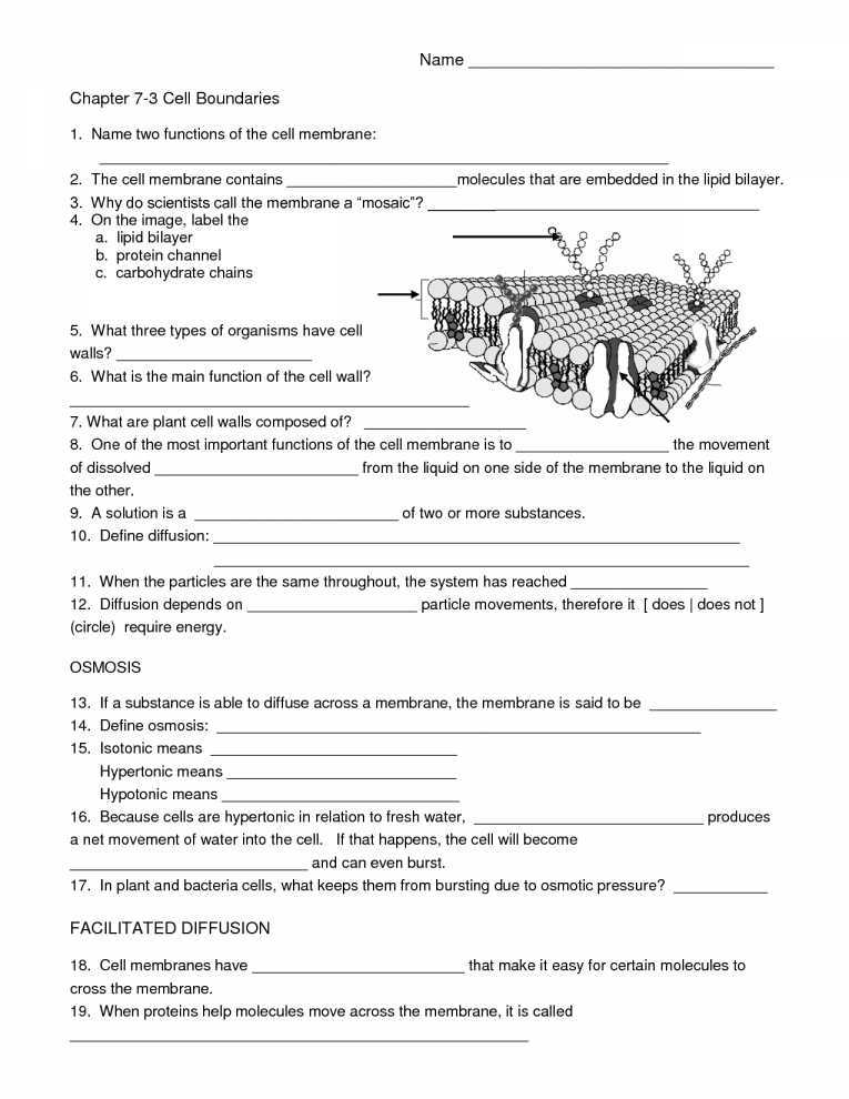 Science 8 Diffusion and Osmosis Worksheet Answers Along with Worksheets 49 Beautiful Cell Membrane Coloring Worksheet Answers Hd