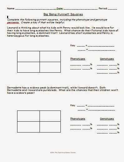 Science Worksheet Answers as Well as Big Bang theory Punnett Square Worksheet
