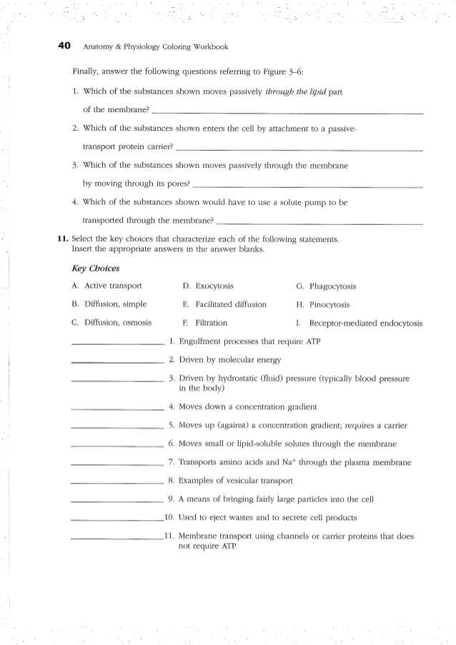 Section 3 Using Heat Worksheet Answers with Ziemlich Study Guide for Human Anatomy and Physiology Answers