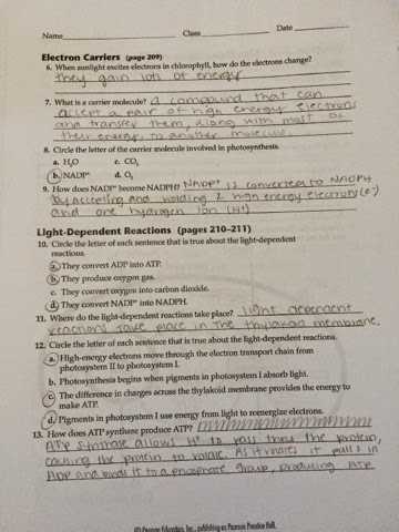 Section 8 1 Energy and Life Worksheet Answer Key Along with Koski Carley 1st Block Biology October 2014