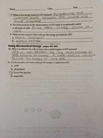 Section 8 1 Energy and Life Worksheet Answer Key Also Koski Carley 1st Block Biology October 2014