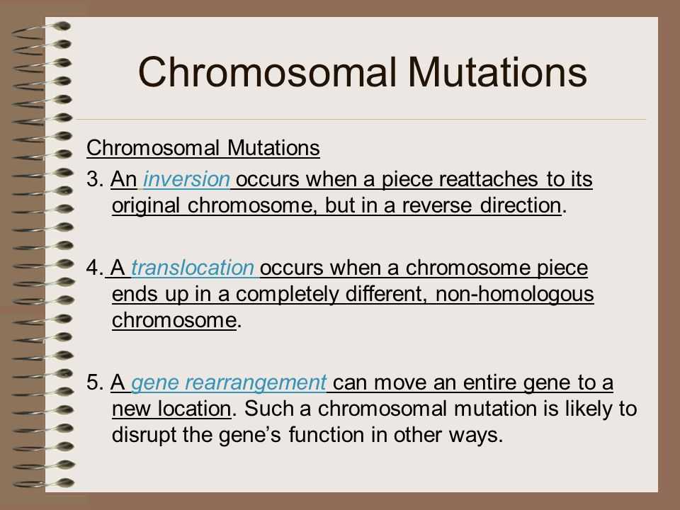Sex Linked Traits Worksheet Also Beautiful Linked Traits Worksheet Unique Chromosome Mutation