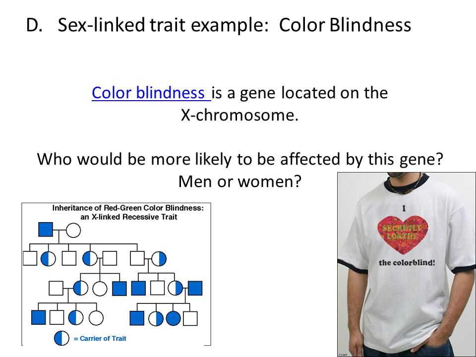 Sex Linked Traits Worksheet and Worksheets 49 Re Mendations Linked Traits Worksheet High