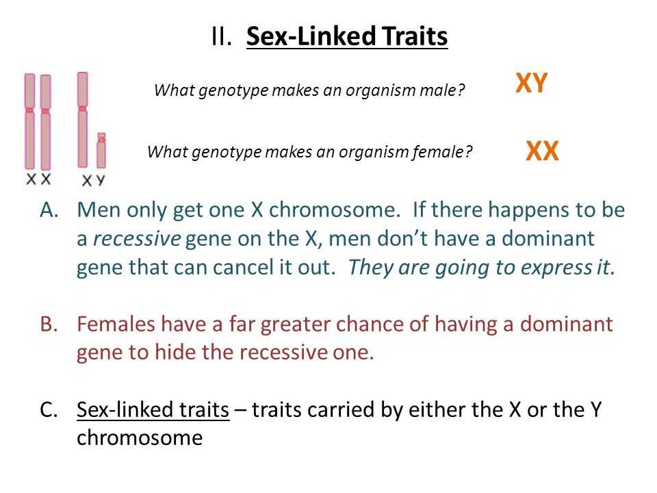 Sex Linked Traits Worksheet together with Lovely Linked Traits Worksheet Unique 14 Best Unicorn Things
