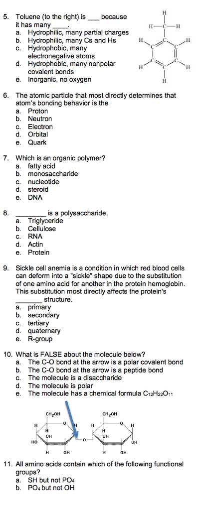Sickle Cell Anemia Worksheet and Biology Archive September 13 2017