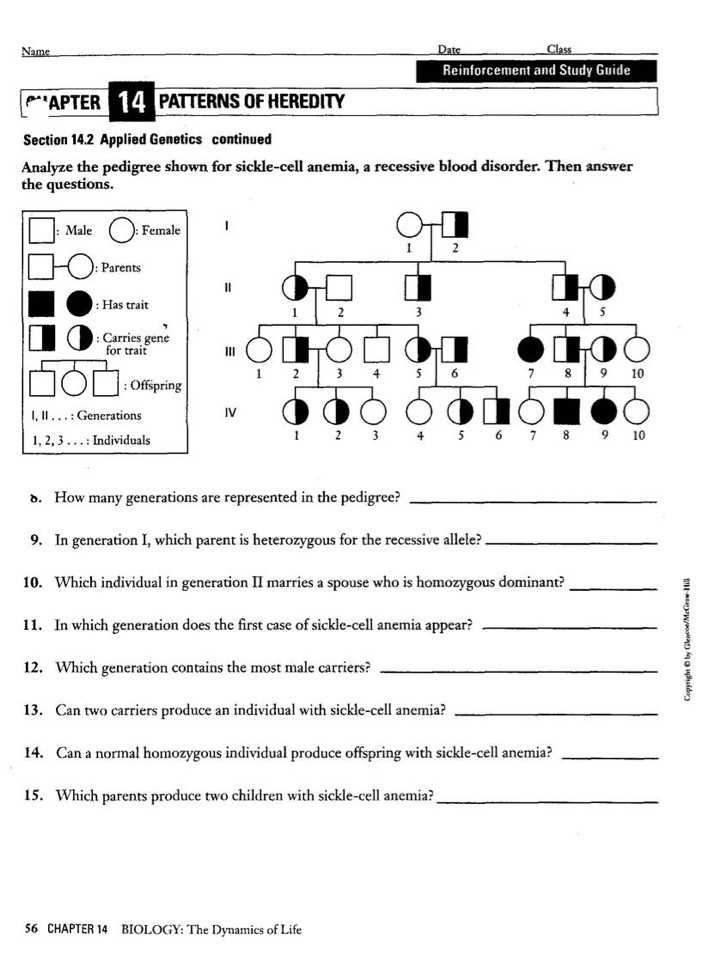 Sickle Cell Anemia Worksheet Answers as Well as Genetics Pedigree Worksheet
