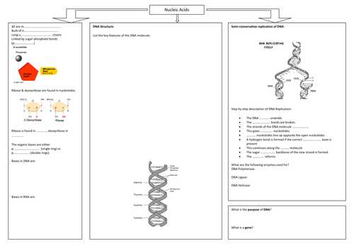 Sickle Cell Anemia Worksheet as Well as Base Mutations and the Consequence Worksheet by Sirwhale