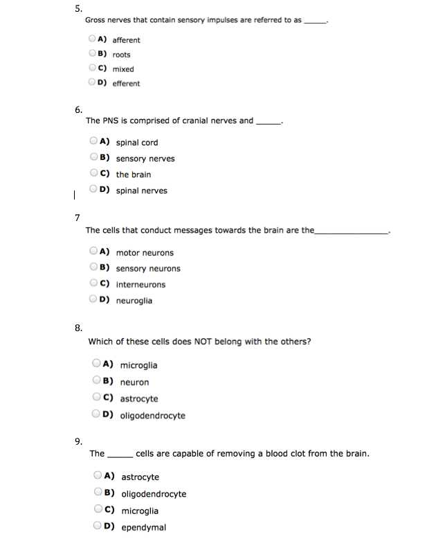 Skin and Temperature Control Worksheet Answers and Anatomygarciawestern [licensed for Non Mercial Use Only