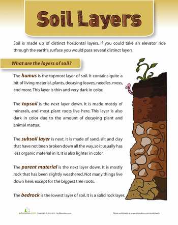 Soil formation Worksheet Along with Layers Of soil