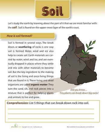 Soil formation Worksheet as Well as soil Position